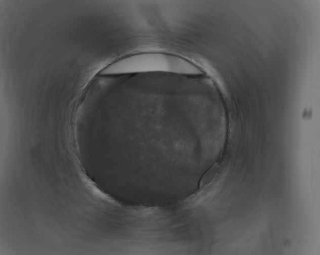 X0000094940385200712131605