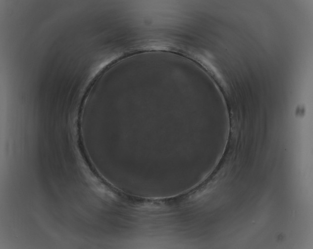 X0000094940386200712131605