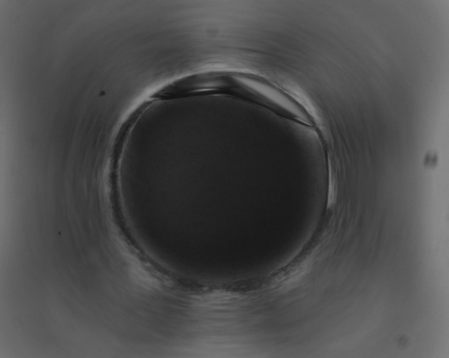 X0000094940387200712131605