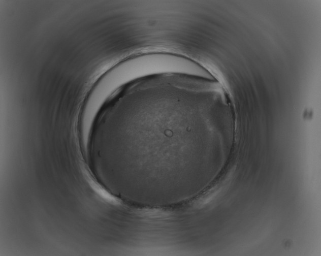 X0000094940389200712131605