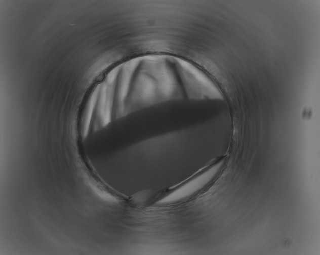 X0000094940390200712131604