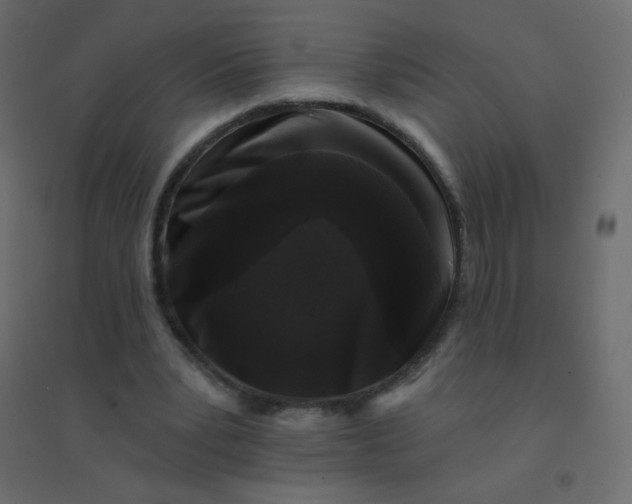 X0000094940391200712131604