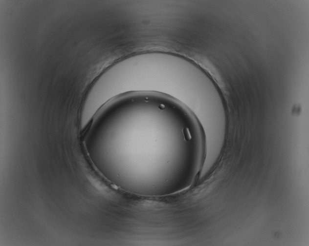 X0000094940393200712131604