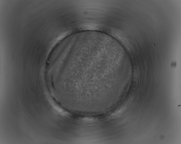 X0000094940394200712131604