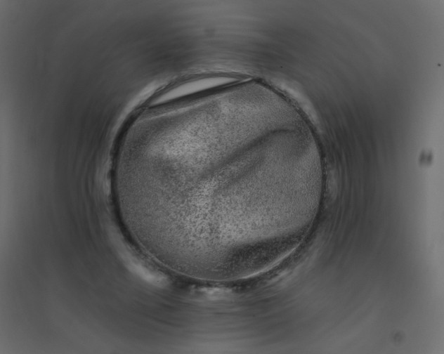 X0000094940395200712131604