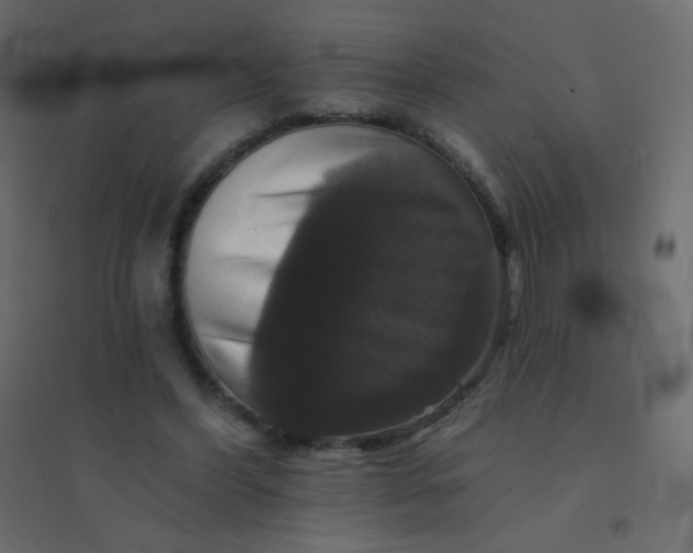 X0000094940396200712131604