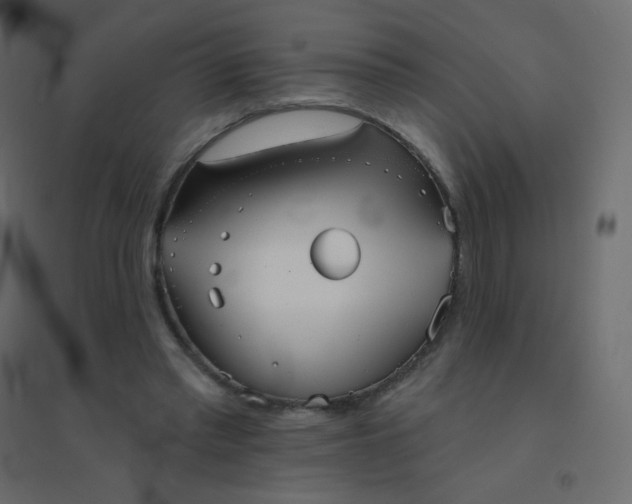 X0000094940397200712131604