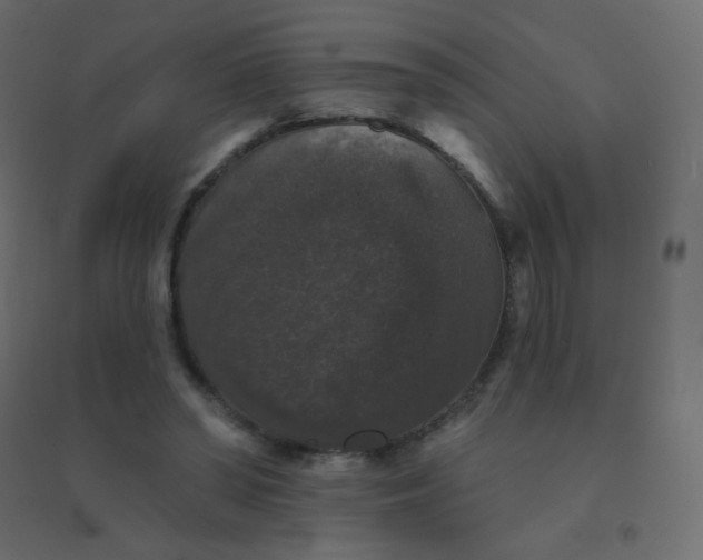 X0000094940398200712131604