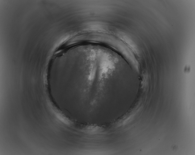 X0000094940399200712131604