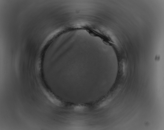 X0000094940400200712131604