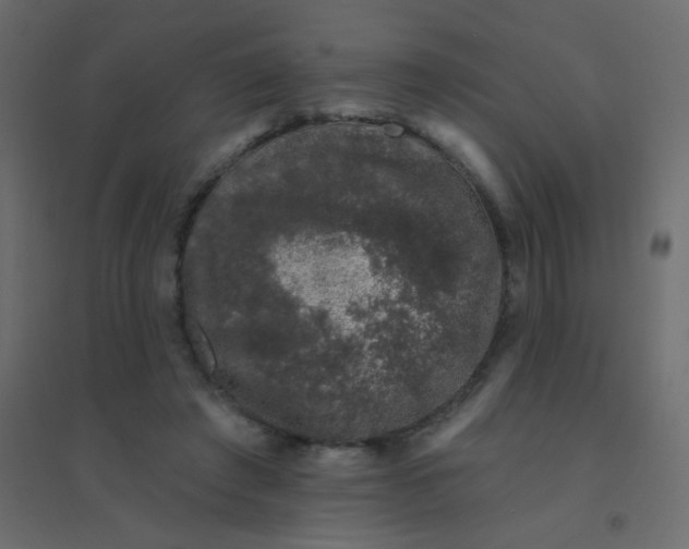 X0000094940401200712131604