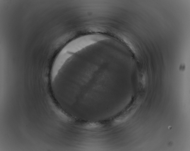 X0000094940402200712131604