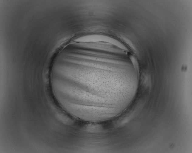 X0000094940403200712131604