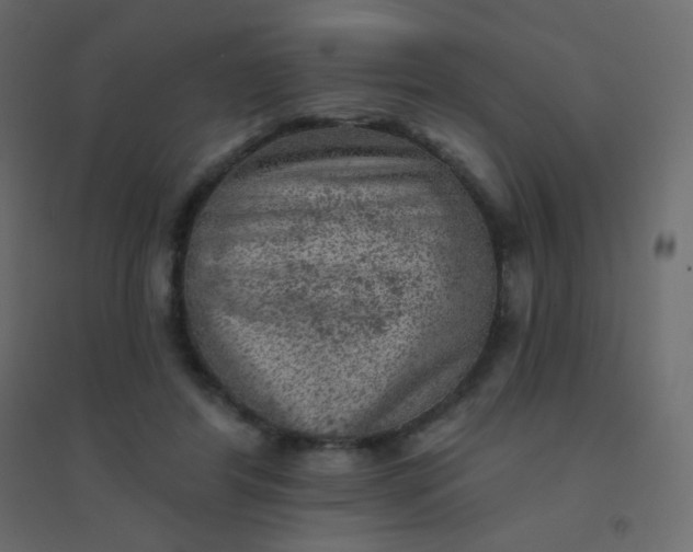 X0000094940404200712131604