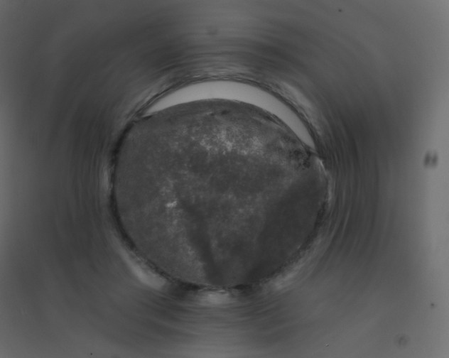 X0000094940405200712131604