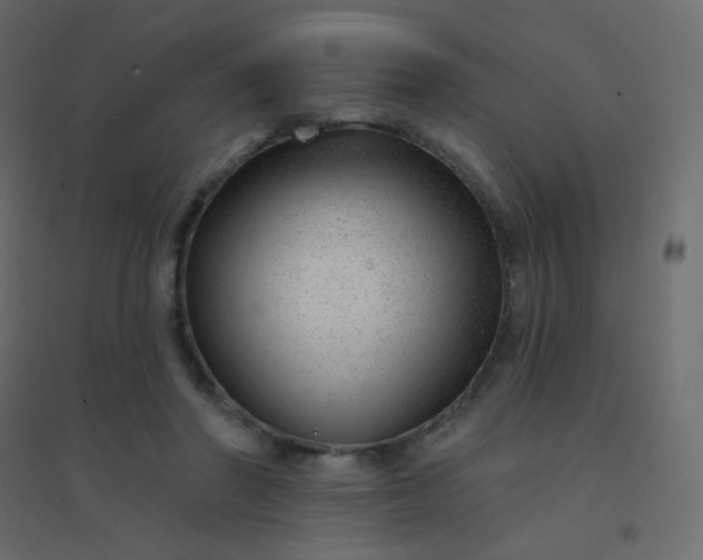 X0000094940406200712131604