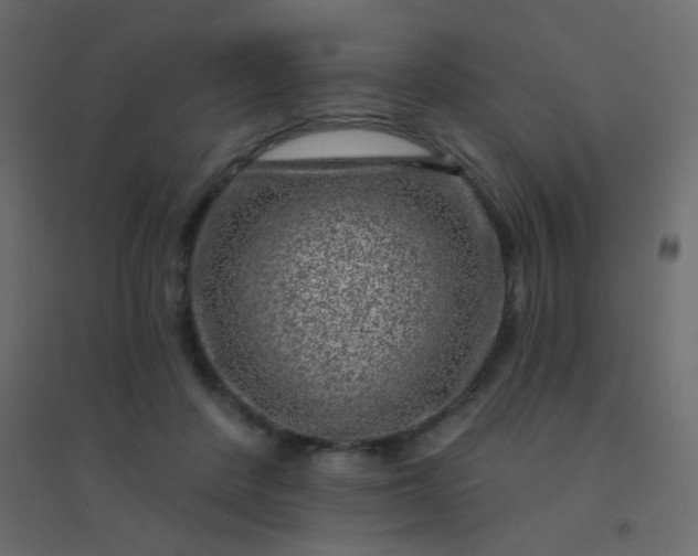 X0000094940408200712131604