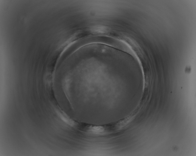 X0000094940409200712131604