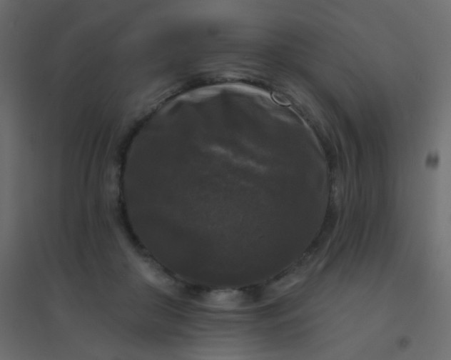 X0000094940410200712131604