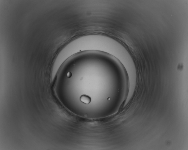 X0000094940411200712131604