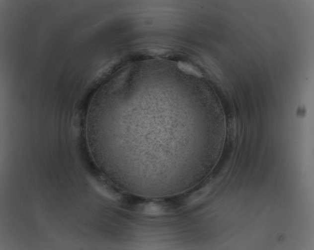 X0000094940412200712131604