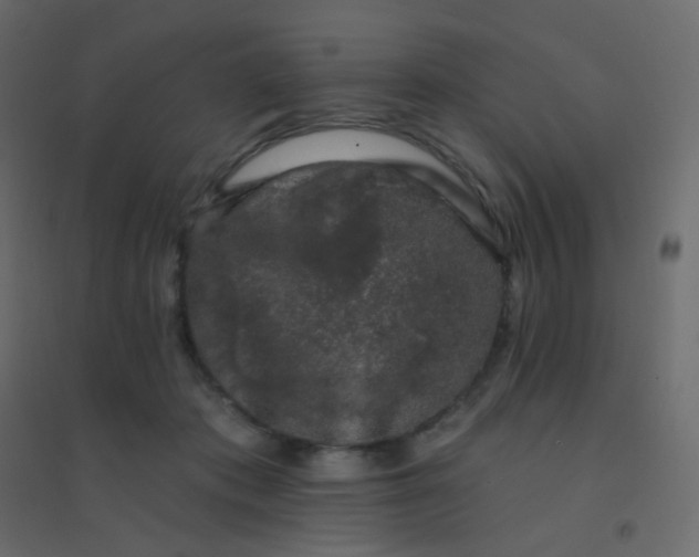 X0000094940413200712131604