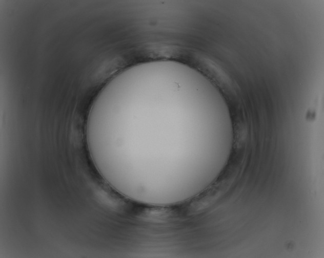 X0000094940414200712131604