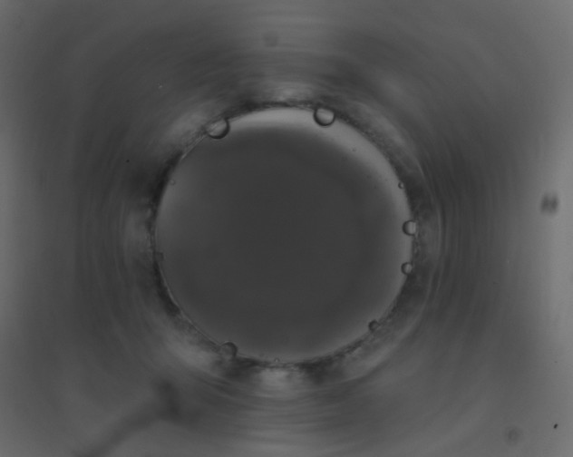 X0000094940415200712131604