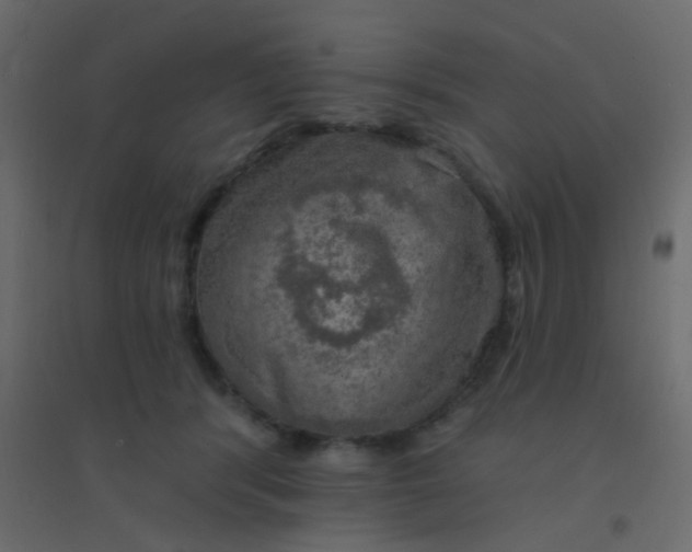 X0000094940416200712131604