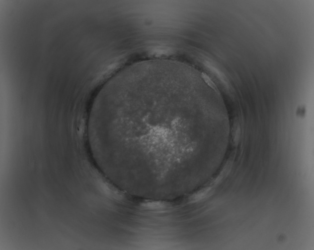 X0000094940417200712131604