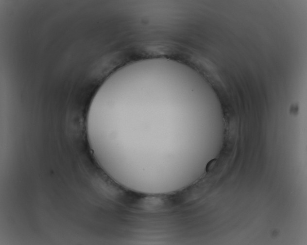 X0000094940418200712131604