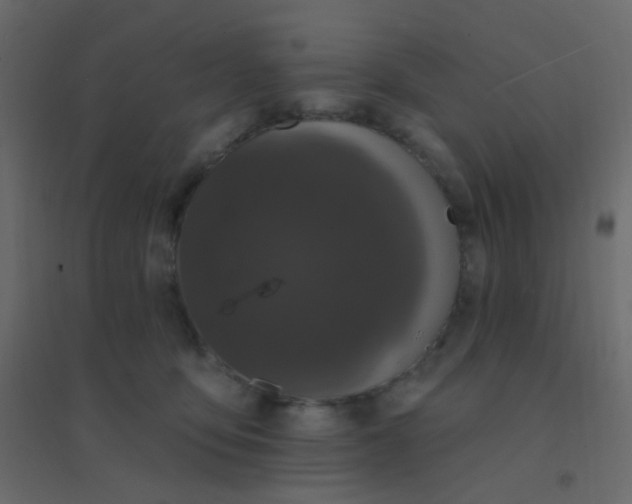 X0000094940419200712131604