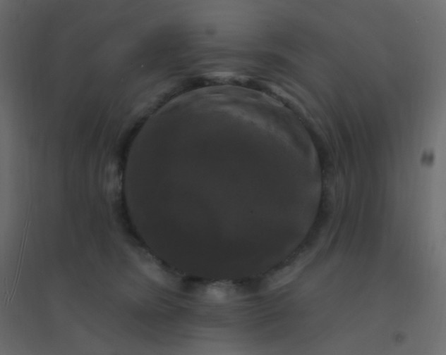 X0000094940420200712131604