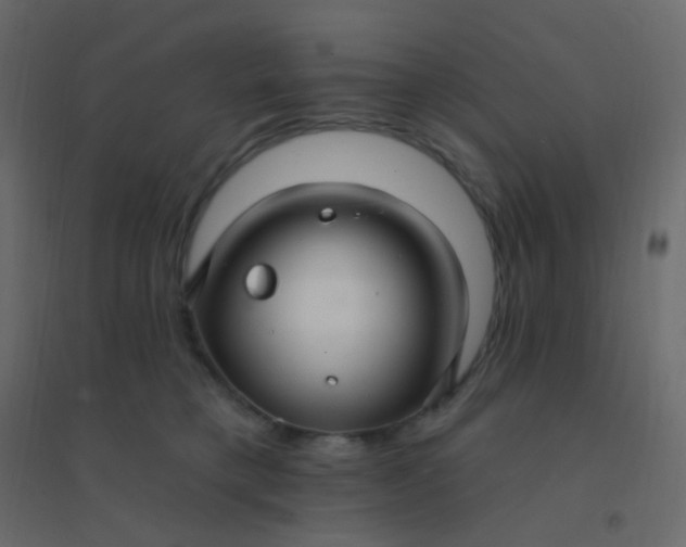 X0000094940421200712131604