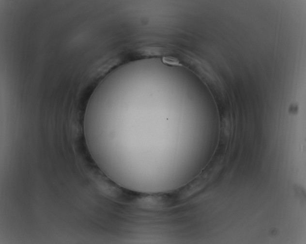 X0000094940422200712131604