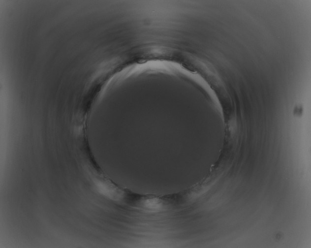 X0000094940423200712131604