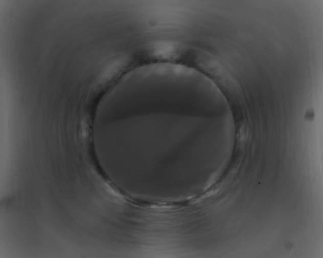 X0000094940424200712131604