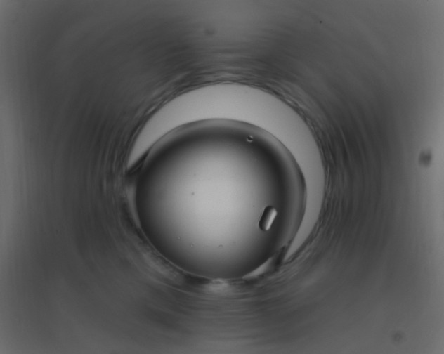 X0000094940425200712131604