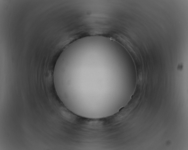 X0000094940426200712131604