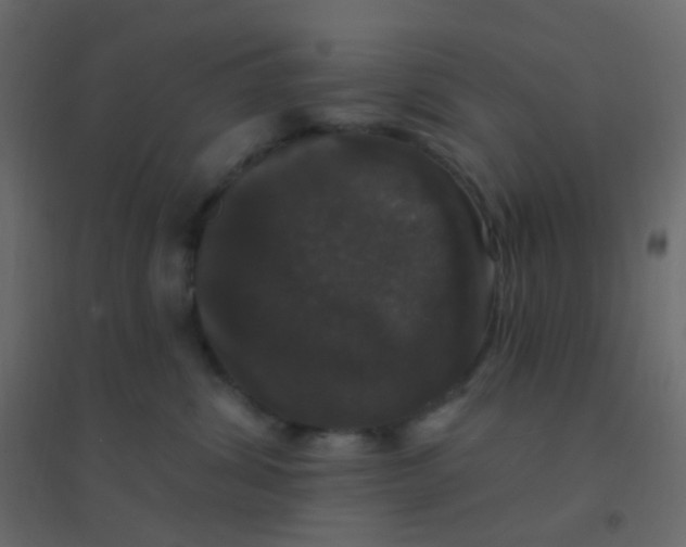 X0000094940428200712131604