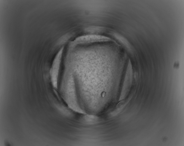 X0000094940429200712131604