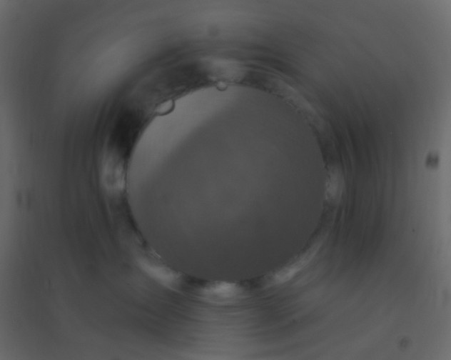 X0000094940431200712131604