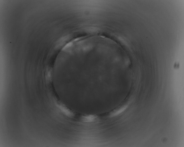 X0000094940432200712131604