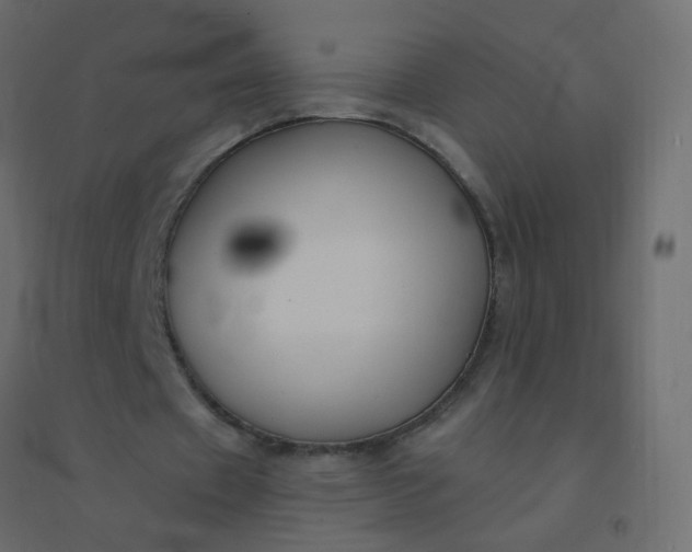 X0000094940433200712131603