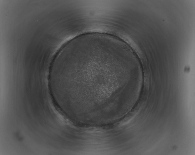 X0000094940434200712131603