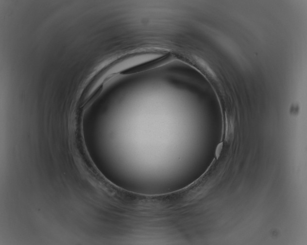 X0000094940435200712131603