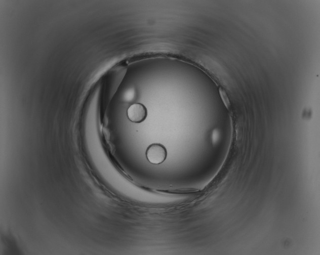 X0000094940436200712131603