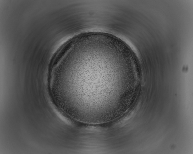 X0000094940437200712131603