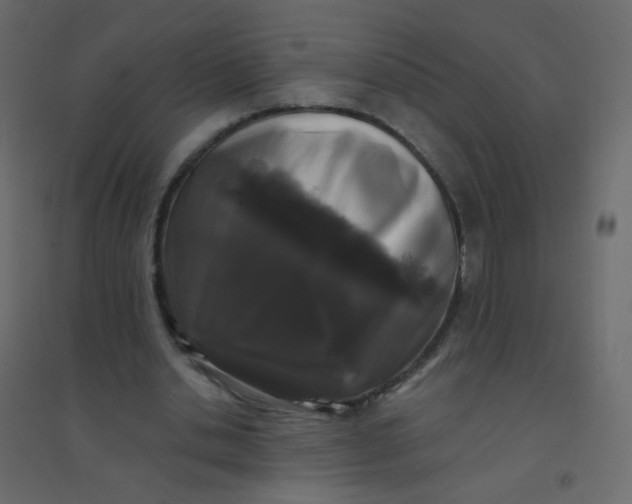 X0000094940438200712131603