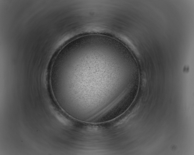 X0000094940439200712131603